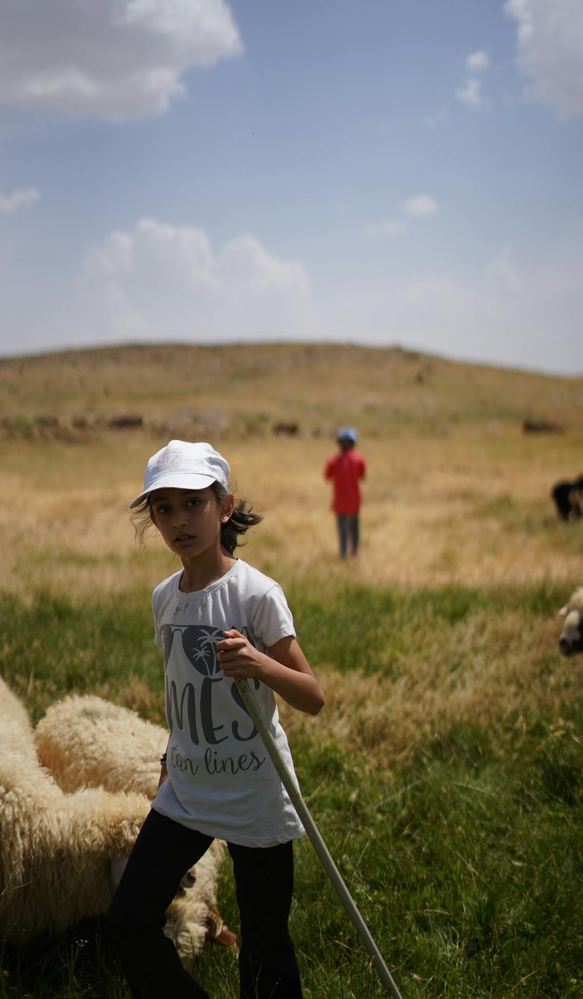 A young girl in a white cap herds sheep in a sunny outdoor pasture, showcasing rural life.