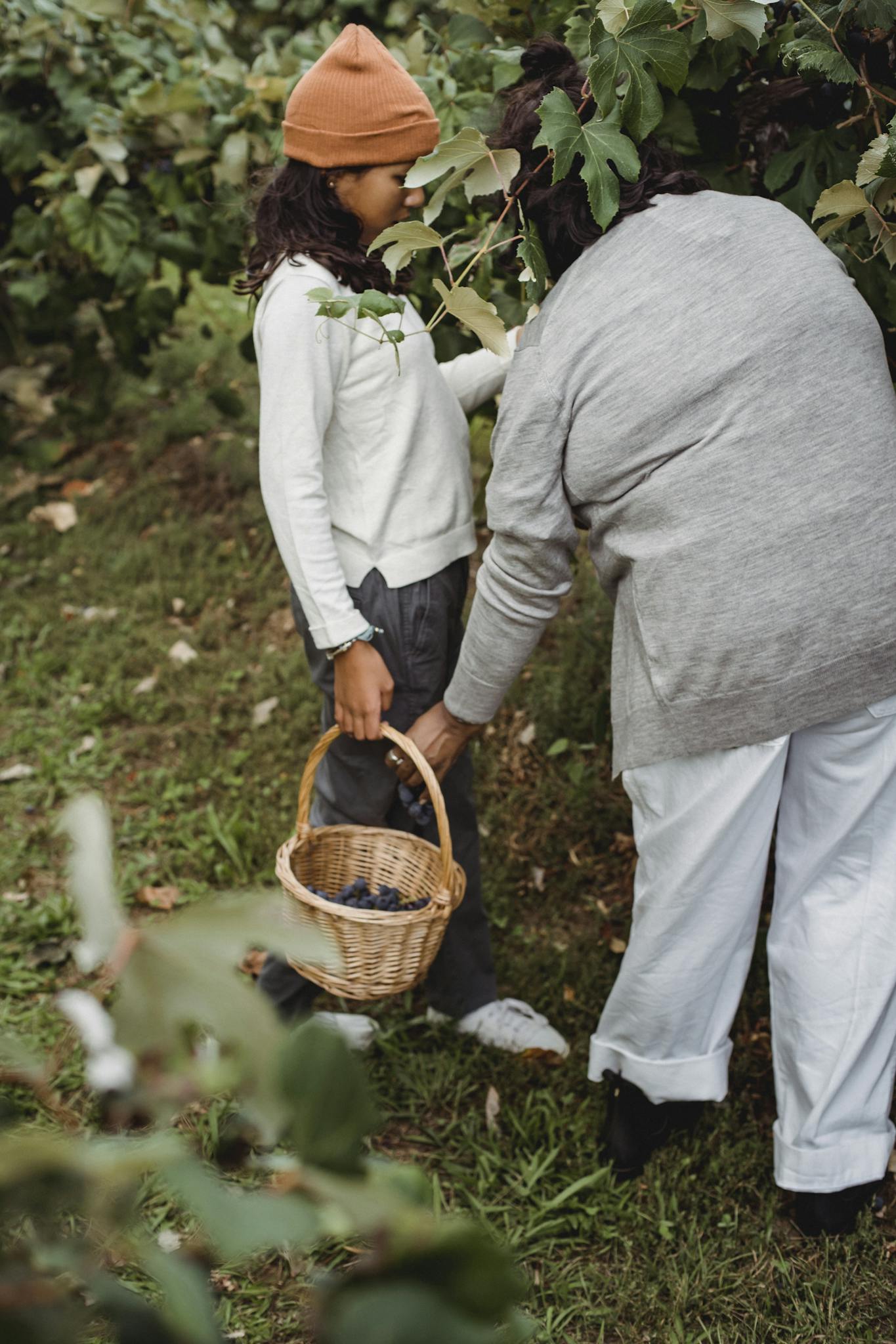Faceless ethnic women carrying together wither basket full of ripe berries near bushes in soft daylight