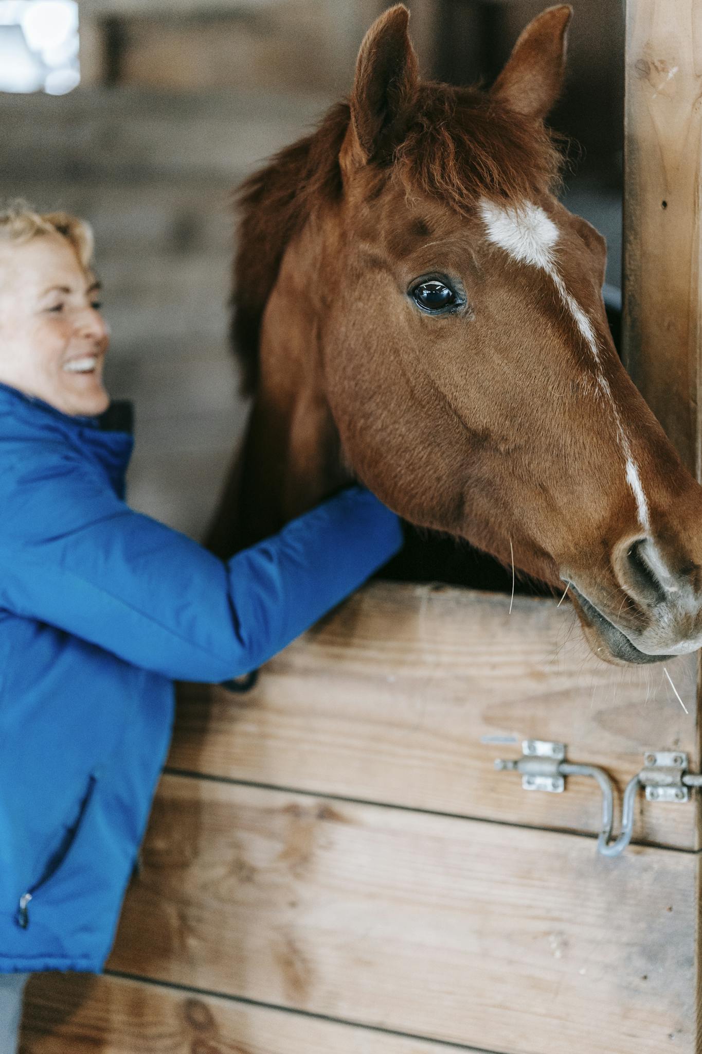 Woman in blue jacket interacts with horse in stable, showcasing a warm bond.